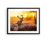 Affiche Poster 50x40cm Tableaux Image Photo Automne paysage nature feuille Art