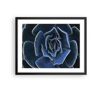 Affiche Poster 50x40cm Tableaux Image Photo Bleu Cactus Fleur Wall Art