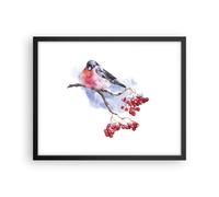 Affiche Poster 50x40cm Tableaux Image Photo Bouvreuil On Branche Wall Art