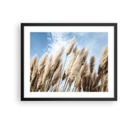 Affiche Poster 50x40cm Tableaux Image Photo Canne Ciel Boho Wall Art Decoration