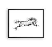 Affiche Poster 50x40cm Tableaux Image Photo Cheval Dessin Crayon Wall Art
