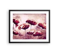 Affiche Poster 50x40cm Tableaux Image Photo coquelicot fleur prairie Wall Art