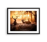 Affiche Poster 50x40cm Tableaux Image Photo Deer bruyère animaux Wall Art