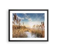 Affiche Poster 50x40cm Tableaux Image Photo Épis De Maïs Côte Soleil Wall Art