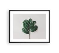 Affiche Poster 50x40cm Tableaux Image Photo Feuilles Plantes Botanique Wall Art