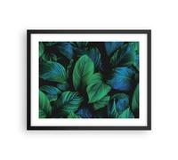 Affiche Poster 50x40cm Tableaux Image Photo Feuilles Plantes Exotisme Wall Art