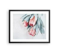 Affiche Poster 50x40cm Tableaux Image Photo Fleur Eucalyptus Australien Wall Art