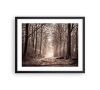 Affiche Poster 50x40cm Tableaux Image Photo forêt route arbre Wall Art