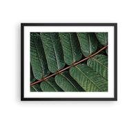 Affiche Poster 50x40cm Tableaux Image Photo Gouttes Eau Feuilles Wall Art