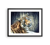 Affiche Poster 50x40cm Tableaux Image Photo Inde pierre tigre sauvage Wall Art