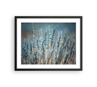Affiche Poster 50x40cm Tableaux Image Photo Lavande Lame Fleur Wall Art