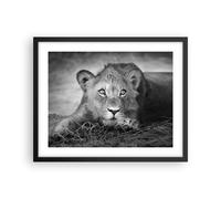 Affiche Poster 50x40cm Tableaux Image Photo Lion Asie Portrait Wall Art