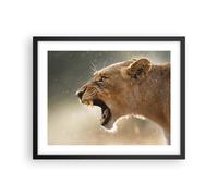 Affiche Poster 50x40cm Tableaux Image Photo Lion Lionne Crocs Wall Art