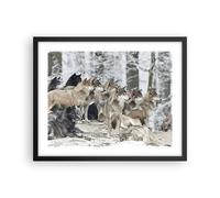 Affiche Poster 50x40cm Tableaux Image Photo Meute Loups Hiver Wall Art