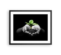 Affiche Poster 50x40cm Tableaux Image Photo Nature plante science protection Art