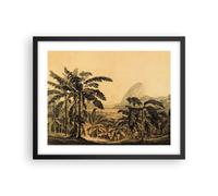 Affiche Poster 50x40cm Tableaux Image Photo Palmiers Forest Des Pluies Wall Art