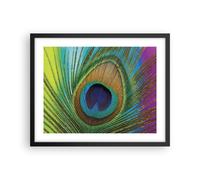 Affiche Poster 50x40cm Tableaux Image Photo Paons Plume Arc En Ciel Wall Art