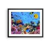 Affiche Poster 50x40cm Tableaux Image Photo Récif de corail Wall Art Decoration
