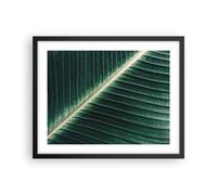 Affiche Poster 50x40cm Tableaux Image Photo Vert Feuille Tropical Wall Art