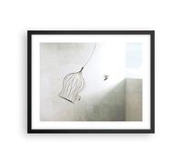 Affiche Poster 50x40cm Tableaux Image Photo Vol Oiseau Cage Wall Art Decoration