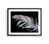 Affiche Poster 50x40cm Tableaux Image Plume Les Couleurs La Délicatesse Art