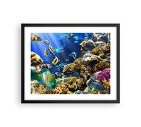 Affiche Poster 50x40cm Tableaux Image Récif corallien océan crabe poisson Art