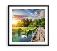 Affiche Poster 50x50cm Tableaux Image architecture promenade Swan Paysage Art