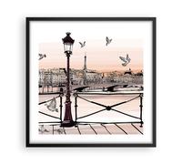 Affiche Poster 50x50cm Tableaux Image France pigeon graphiques illustration Art