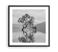 Affiche Poster 50x50cm Tableaux Image Photo Arbre Symétrie Lac Wall Art