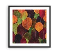 Affiche Poster 50x50cm Tableaux Image Photo Automne Feuilles Graphismes Wall Art