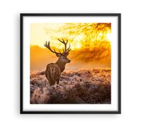 Affiche Poster 50x50cm Tableaux Image Photo Automne paysage nature feuille Art