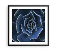 Affiche Poster 50x50cm Tableaux Image Photo Bleu Cactus Fleur Wall Art