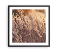 Affiche Poster 50x50cm Tableaux Image Photo Boho Épis De Maïs Champ Wall Art