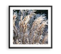 Affiche Poster 50x50cm Tableaux Image Photo Canne Épis De Maïs Boho Wall Art