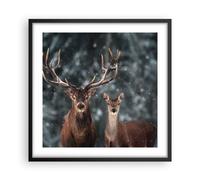 Affiche Poster 50x50cm Tableaux Image Photo Cerf renne chevreuil Wall Art