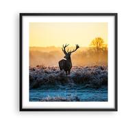 Affiche Poster 50x50cm Tableaux Image Photo Champ brouillard nature arbre Art