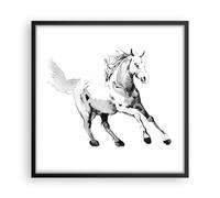 Affiche Poster 50x50cm Tableaux Image Photo Cheval Galop Des Animaux Wall Art