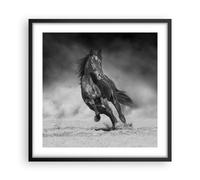 Affiche Poster 50x50cm Tableaux Image Photo Cheval Galop Dynamique Wall Art