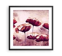 Affiche Poster 50x50cm Tableaux Image Photo coquelicot fleur prairie Wall Art