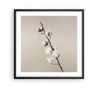 Affiche Poster 50x50cm Tableaux Image Photo Coton Brindille Boho Wall Art
