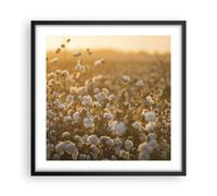 Affiche Poster 50x50cm Tableaux Image Photo Coton Champ Arables Wall Art