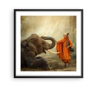 Affiche Poster 50x50cm Tableaux Image Photo éléphant moine défense Wall Art
