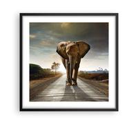 Affiche Poster 50x50cm Tableaux Image Photo Elephant Route Campagne Wall Art