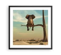 Affiche Poster 50x50cm Tableaux Image Photo Éléphant S'asseyant Branche Wall Art