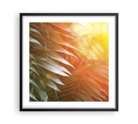 Affiche Poster 50x50cm Tableaux Image Photo Exotique Feuilles Aube Wall Art