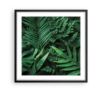 Affiche Poster 50x50cm Tableaux Image Photo Exotique Feuilles Monstera Wall Art