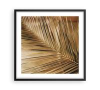Affiche Poster 50x50cm Tableaux Image Photo Feuille Or Plante Wall Art