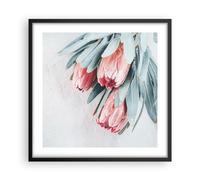 Affiche Poster 50x50cm Tableaux Image Photo Fleur Eucalyptus Australien Wall Art