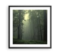 Affiche Poster 50x50cm Tableaux Image Photo forêt brouillard arbre Wall Art