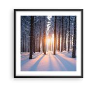 Affiche Poster 50x50cm Tableaux Image Photo forêt hiver neige Wall Art